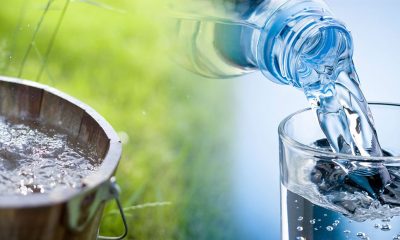 Descubra os benefícios da água para a saúde feminina e como a hidratação adequada pode melhorar seu bem-estar.